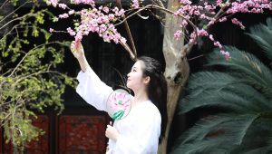 freeok追剧也很卷推荐古装剧封面，展示古代宫廷场景与华美服饰，色彩浓郁典雅